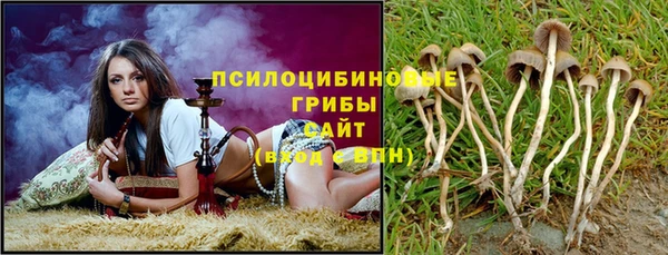 таблы Инсар