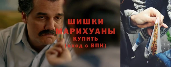ГАЛЛЮЦИНОГЕННЫЕ ГРИБЫ Иннополис