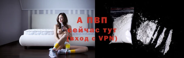 ГАЛЛЮЦИНОГЕННЫЕ ГРИБЫ Иннополис