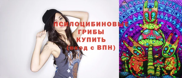 таблы Инсар