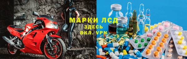 ГАЛЛЮЦИНОГЕННЫЕ ГРИБЫ Иннополис