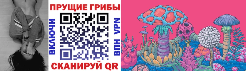 Псилоцибиновые грибы GOLDEN TEACHER  Купить  Черемхово 